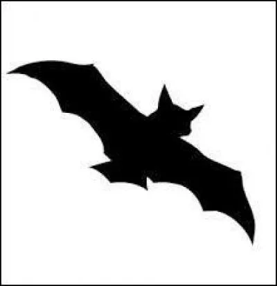 Quel animal est représenté ?