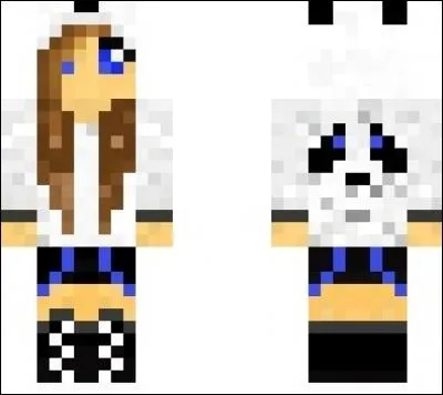 Quel est ce YouTubeur ?