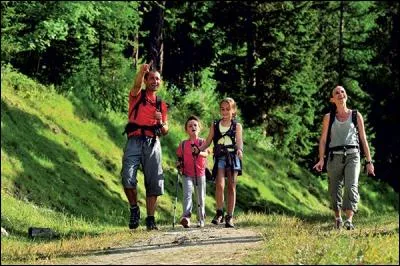 Aujourd'hui, nous avons fait une _____ en forêt.