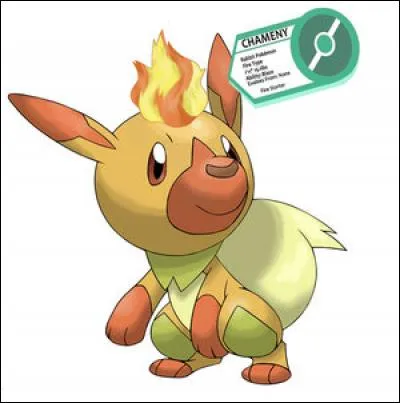 C'est un Pokémon.