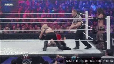 Quelles catcheuses faisaient partie des "Twins Magic" ?