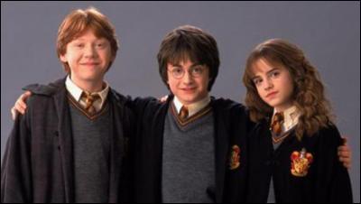 Harry savait-il au début qu'il était un sorcier ?