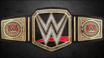 Nous sommes le 16 août 2016, qui est le champion de WWE ?