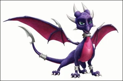 Quel type de dragons est Cynder ?