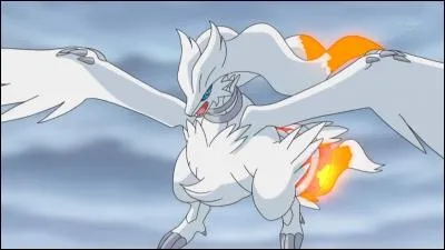 Pourquoi Reshiram a-t-il activé le Turbo Brasier ?
