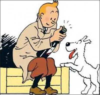Dans "Les Aventures de Tintin", quelle est la race de Milou, le chien ?