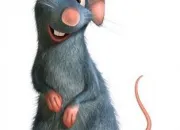 Quiz Ratatouille