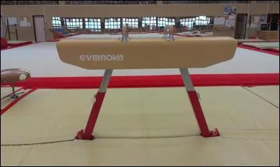 Quel est cet agrès ?