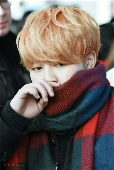 D'où vient Jimin ?