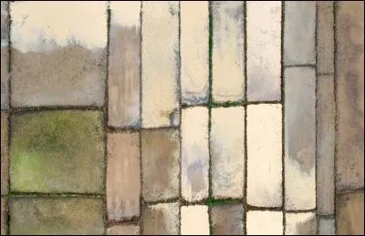 Parfaitement ordonnés dans un agencement argenté, voici des ---- pour une représentation picturale et poétique de rizières vues du ciel.