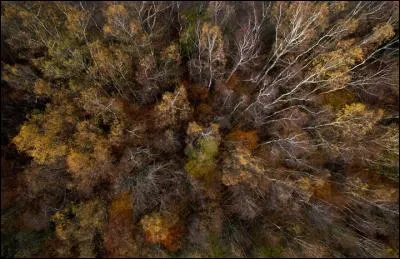 Vous avez toujours aimé prendre de la hauteur. Ici, que survolez-vous en ce jour d'automne ?