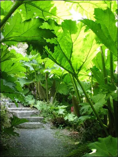 Le mot plein de saveur « cucullé », dont on se régale d'avance à l'idée de s'en servir en famille ou au travail, a quel sens ?