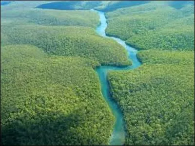 Lequel de ces pays n'est pas traversé par la forêt amazonienne ?