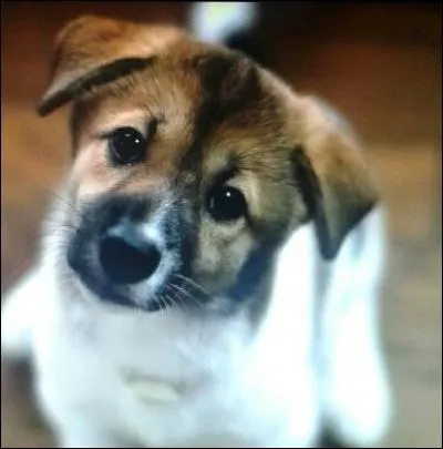 Dans quel pays se trouve la ville dont l'air est le plus pollué ?