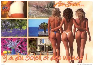 Il y a du soleil, et des nanas.