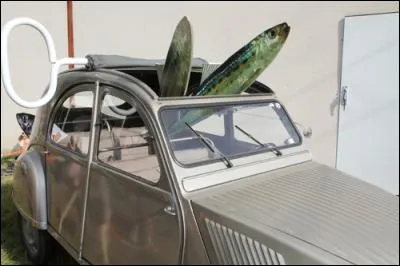 Parlons nourriture avec la boîte à sardines ! Je vous présente la..