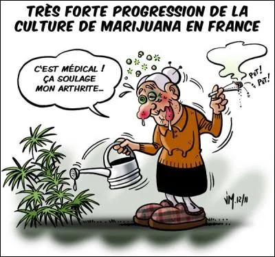 Marguerite se fait voler son sac à la sortie d'un magasin du Palais-Royal. Le voleur jette le contenu dans un parking d'un centre commercial de L'Haÿ-les-Roses et Georges le ramasse au pied de sa voiture. Débute alors dans l'imaginaire de Georges une histoire d'amour absurde et surréaliste... Film d'Alain Resnais (comme souvent pour Sabine qui était son épouse).