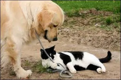 Sport de glisse sur neige ou sur eau :