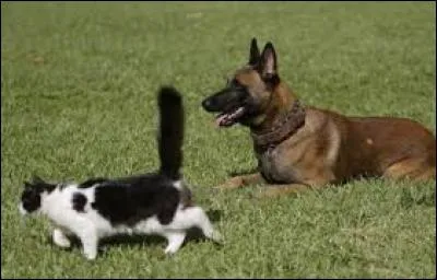 Le dixième de soixante :