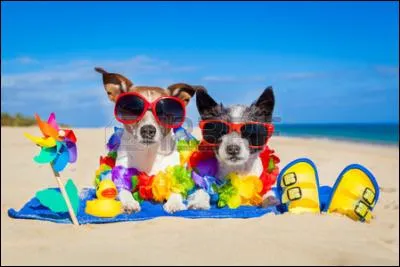 Vive les grandes vacances ! À quelle saison te font-elles penser ? Ajoute une lettre au mot "té" pour l'écrire.