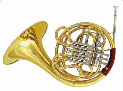 Quel est le nom de cet instrument à vent de la famille des cuivres ? Ajoute une lettre au mot "or" pour le savoir.