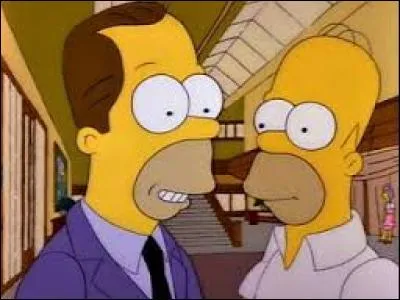 Comment s'appelle le demi-frère d'Homer ?