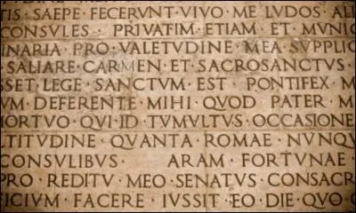 Comment dit-on "bras" en latin ?