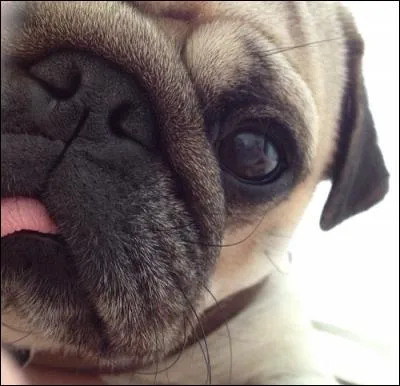 Des amis, tu en as :