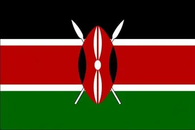 De quel pays est ce drapeau ?