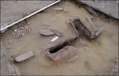 Ceci a été découvert par hasard, en Sibérie. À quoi fais-je référence ?