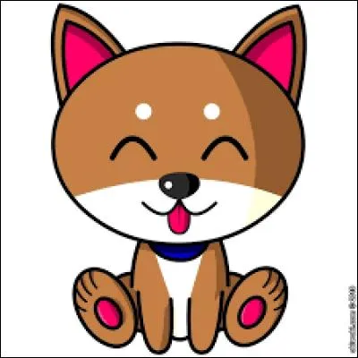 Quel est le nom de ce Pokémon ?