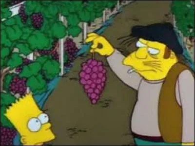 Toujours dans le même épisode que la question précédente - Dans quel pays Bart fut-il envoyé ?