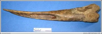 Qui chantait : 'Les prisonniers du boulot ne font pas de vieux os' ?