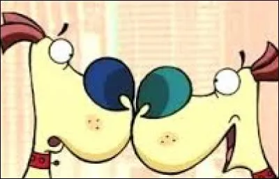 Qui est le vrai Corneil ?