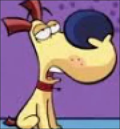 Comment s'appelle ce chien ?