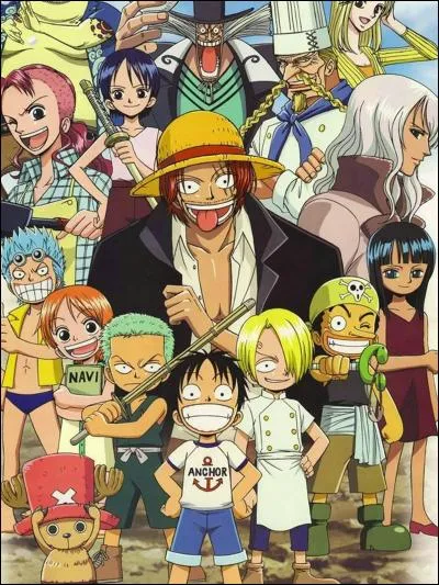 Qui cuisine sur le bateau de Luffy ? (One Piece)