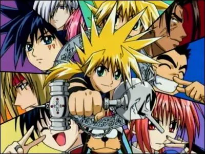 Que souhaite MÄR ? (MÄR)