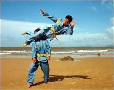 "V" comme "Viet Vo Dao". Duquel de ces pays asiatiques provient cet art martial ?