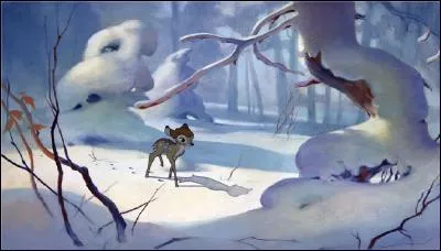 Qu'aimez-vous dans la nature ?