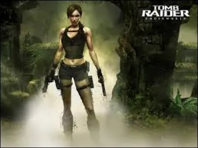 Dans "Tomb Raider : Underworld", le jeu est la suite d'un autre opus. Lequel ?