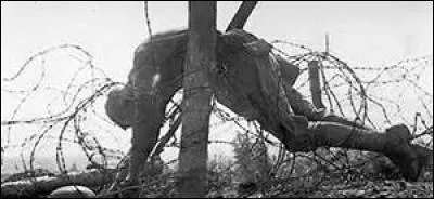 Quelle boisson aimaient-ils boire pour se donner du courage ?