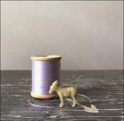 Les bobines de fil sont autant de petits rouleaux utiles. Comment se nomme la bobine aplatie qui se place à l'intérieur de la machine à coudre pour faire le point du dessous ?