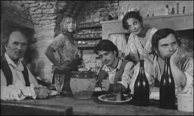 Un ancien capitaine de l'armée napoléonienne, Toussaint Rouveyre, regagne son village après la défaite de Waterloo. Son frère, parti faire le Tour de France des Compagnons, a été tué par un Compagnon rival. Toussaint n'a de cesse alors de retrouver le meurtrier.