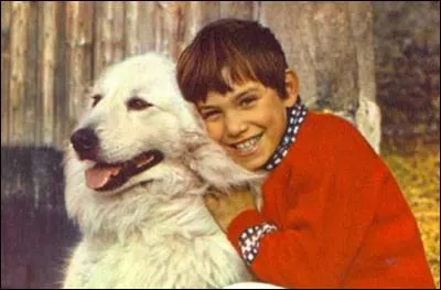 Un enfant, dont la mère est morte en lui donnant naissance, est recueilli par un vieux berger. Quelques années plus tard, une chienne, née le même jour que cet enfant, s'échappe d'un chenil. L'enfant lui sauve la vie. Ils deviennent alors inséparables.