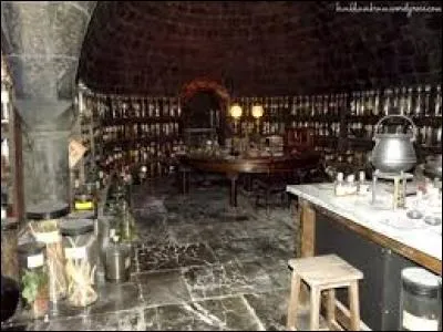 Qui est le professeur des potions cette année-là ?