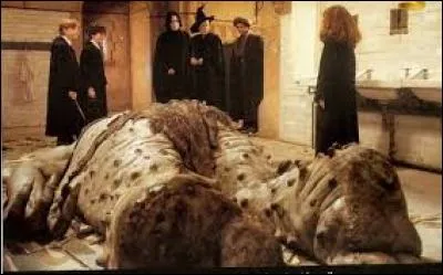 Qui a assommé le troll ?