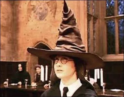 Quelle maison a été choisie pour Harry ?