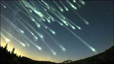 En 2016 et c'est le seul à ce jour, un chauffeur de bus originaire d'Inde est mort sous :