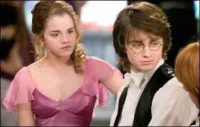Qui est le cavalier d'Hermione ?