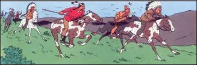 Comment s'appelle la tribu de peaux-rouges qui capturent Tintin en Amérique ?